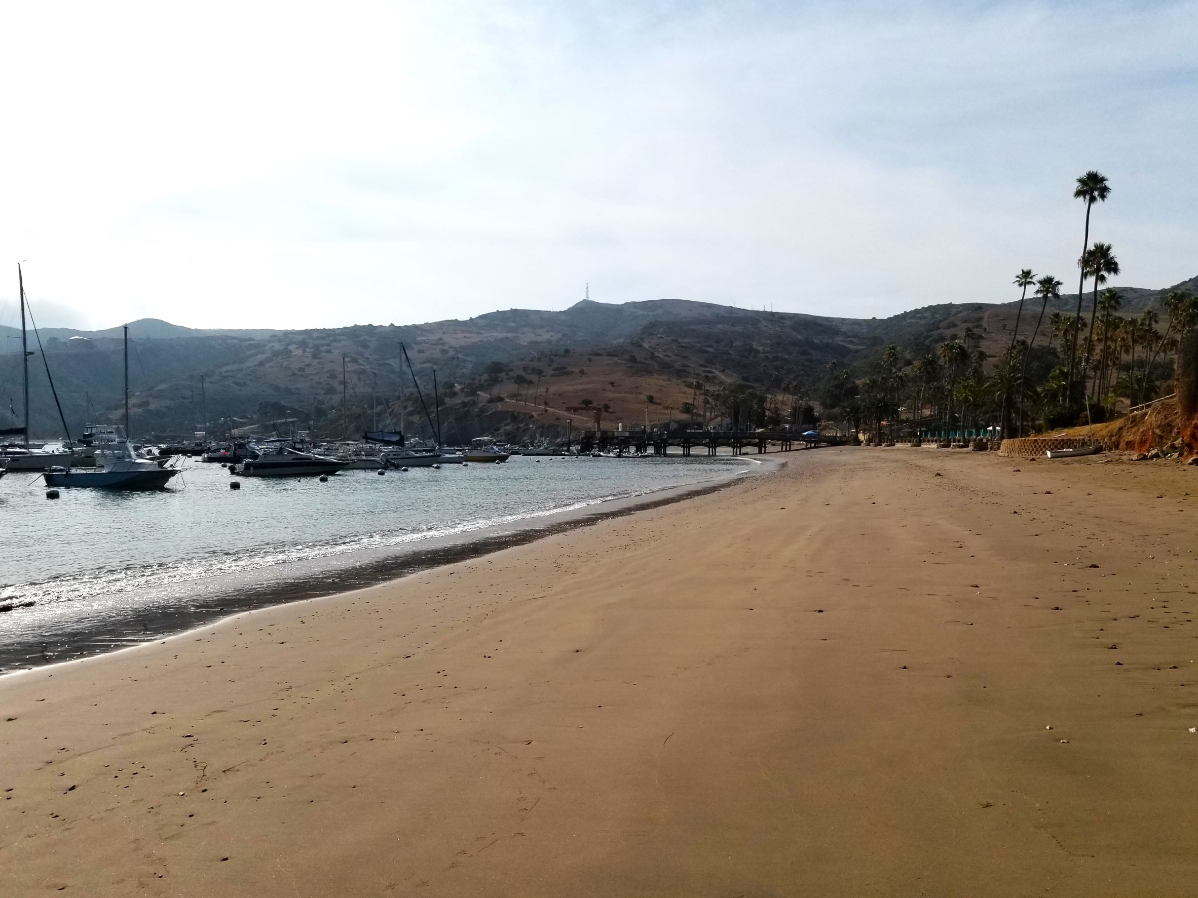20220720_090023ab.jpg