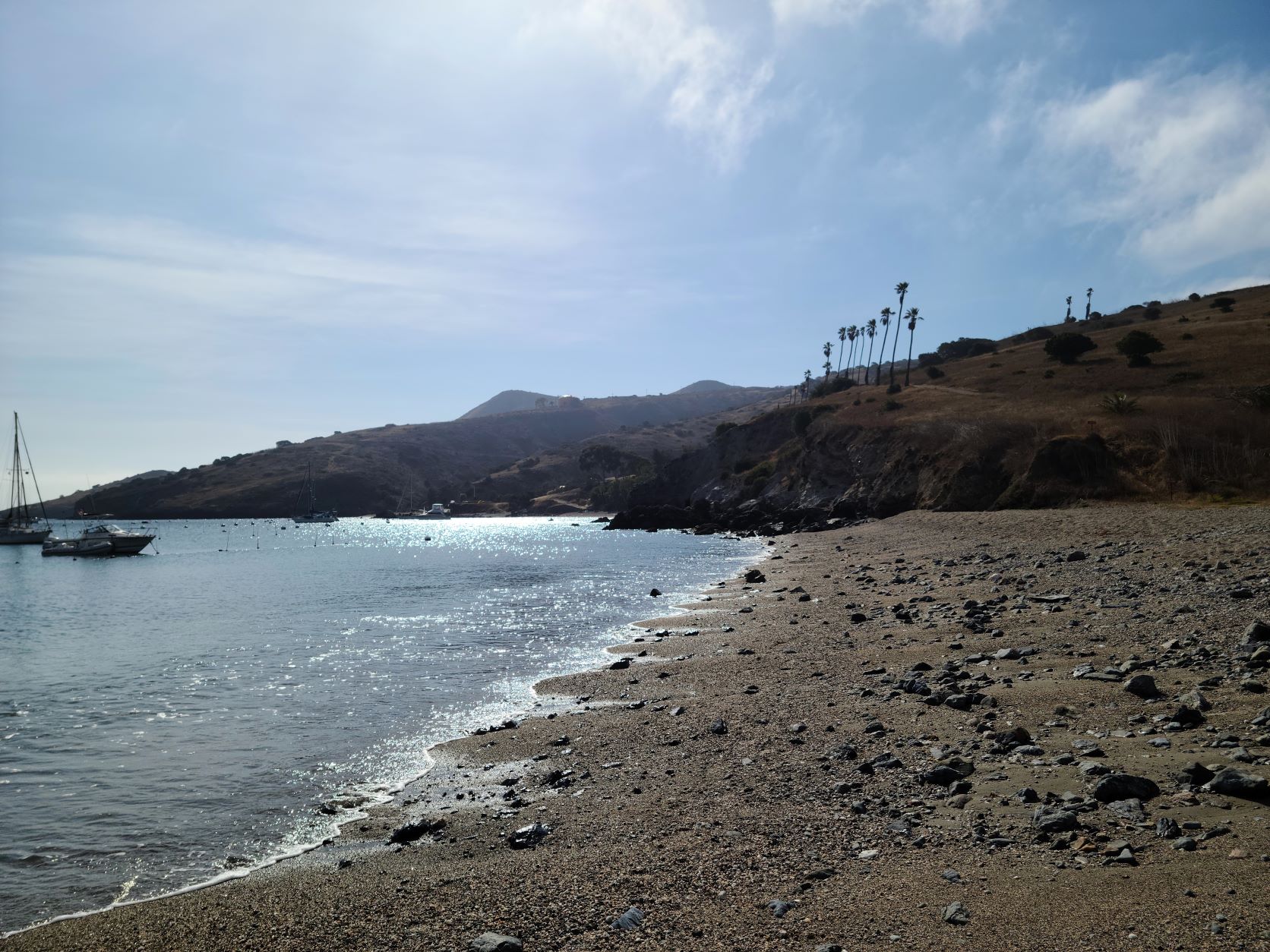 20220721_084930ab.jpg