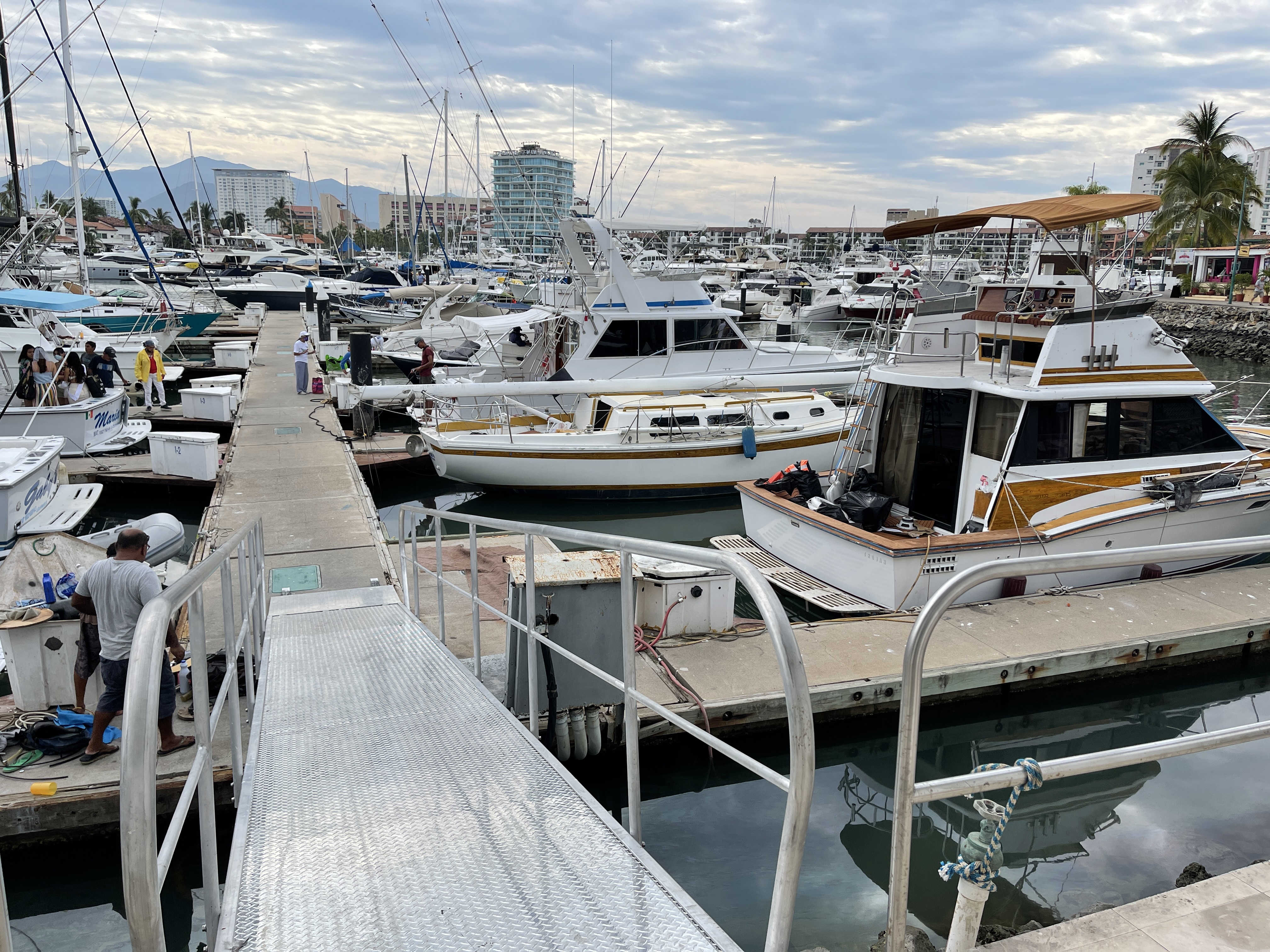 IMG_3551.jpeg