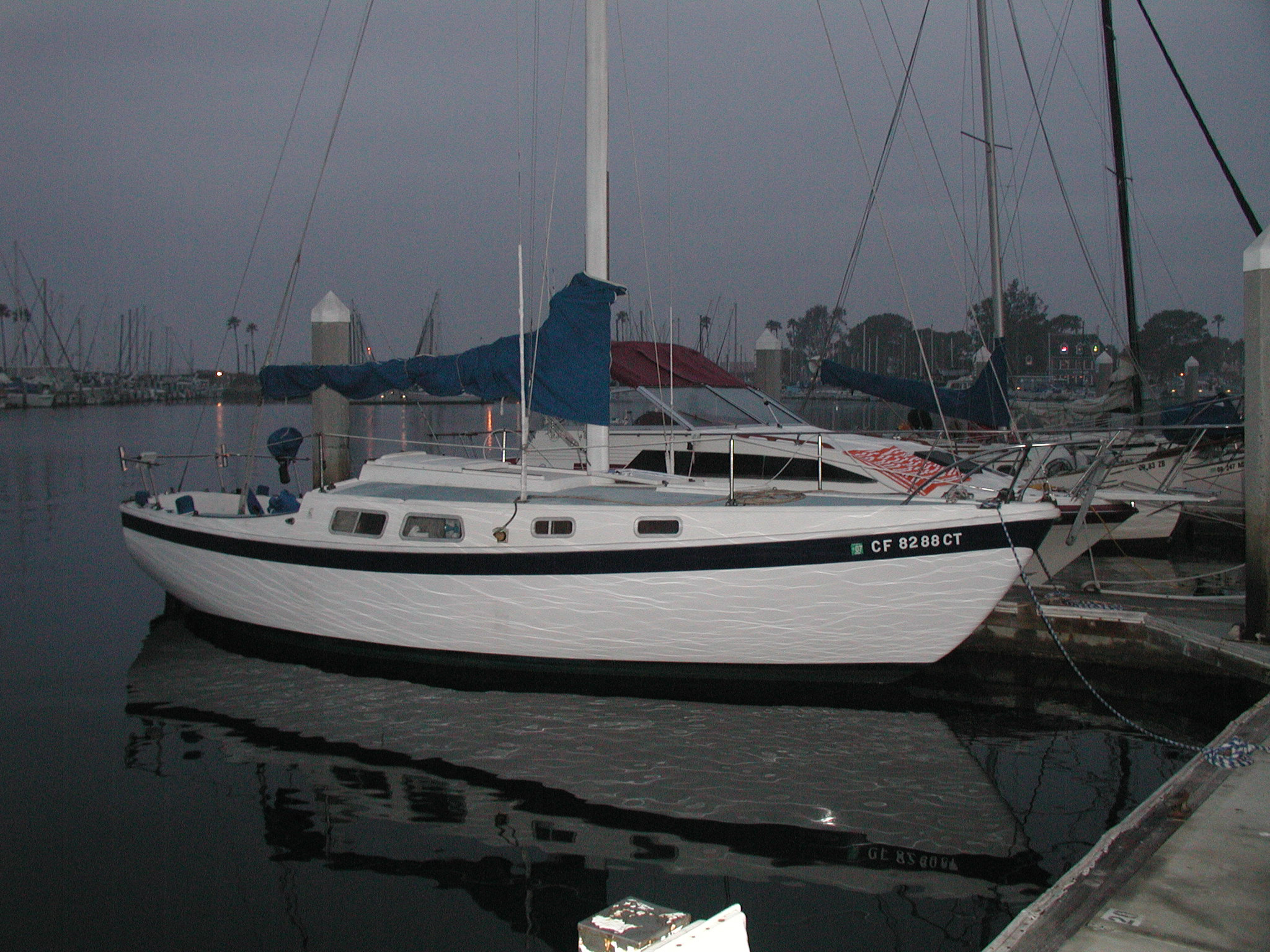 P1010037.jpg