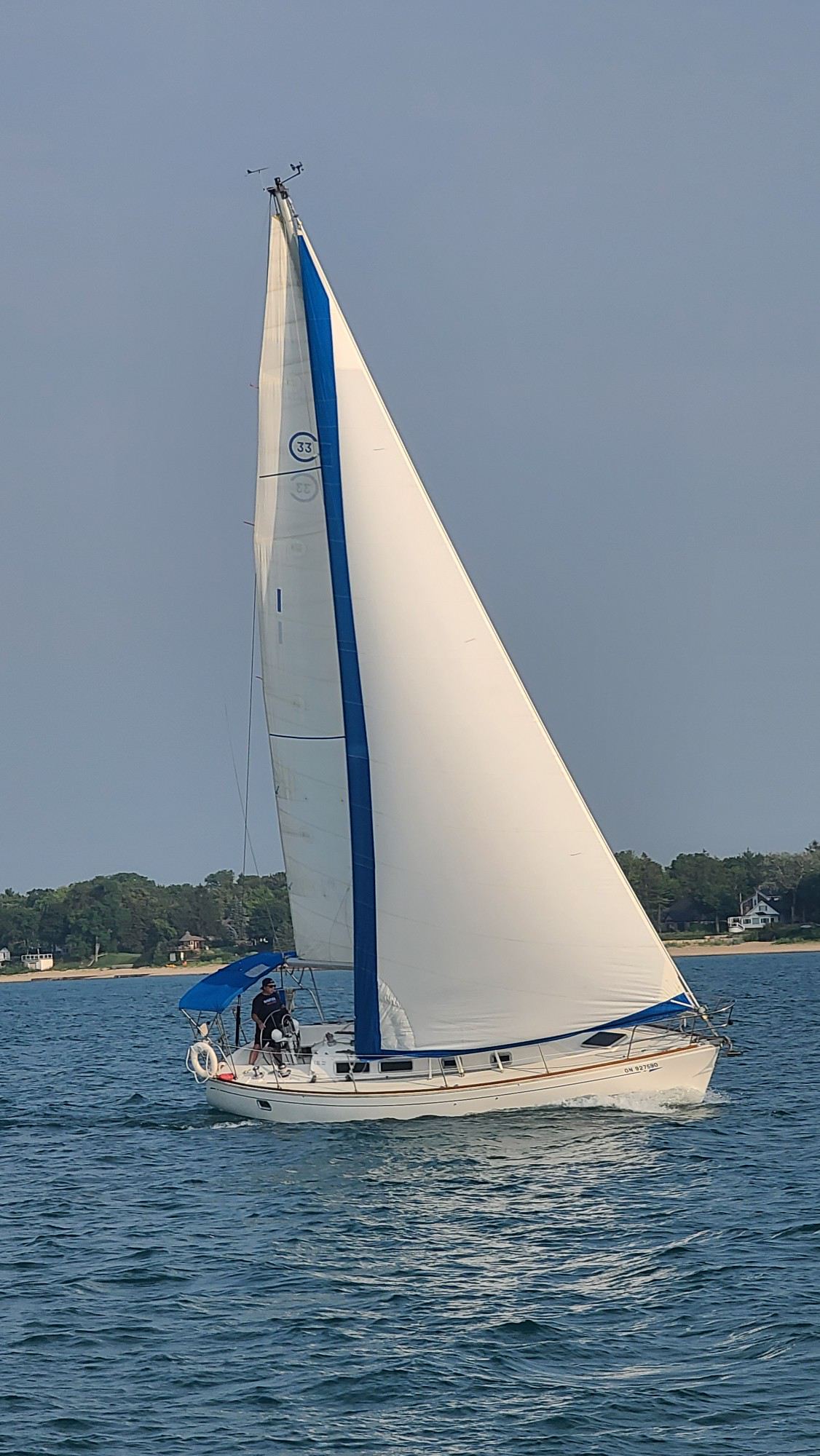Dolphin - favorite.JPG