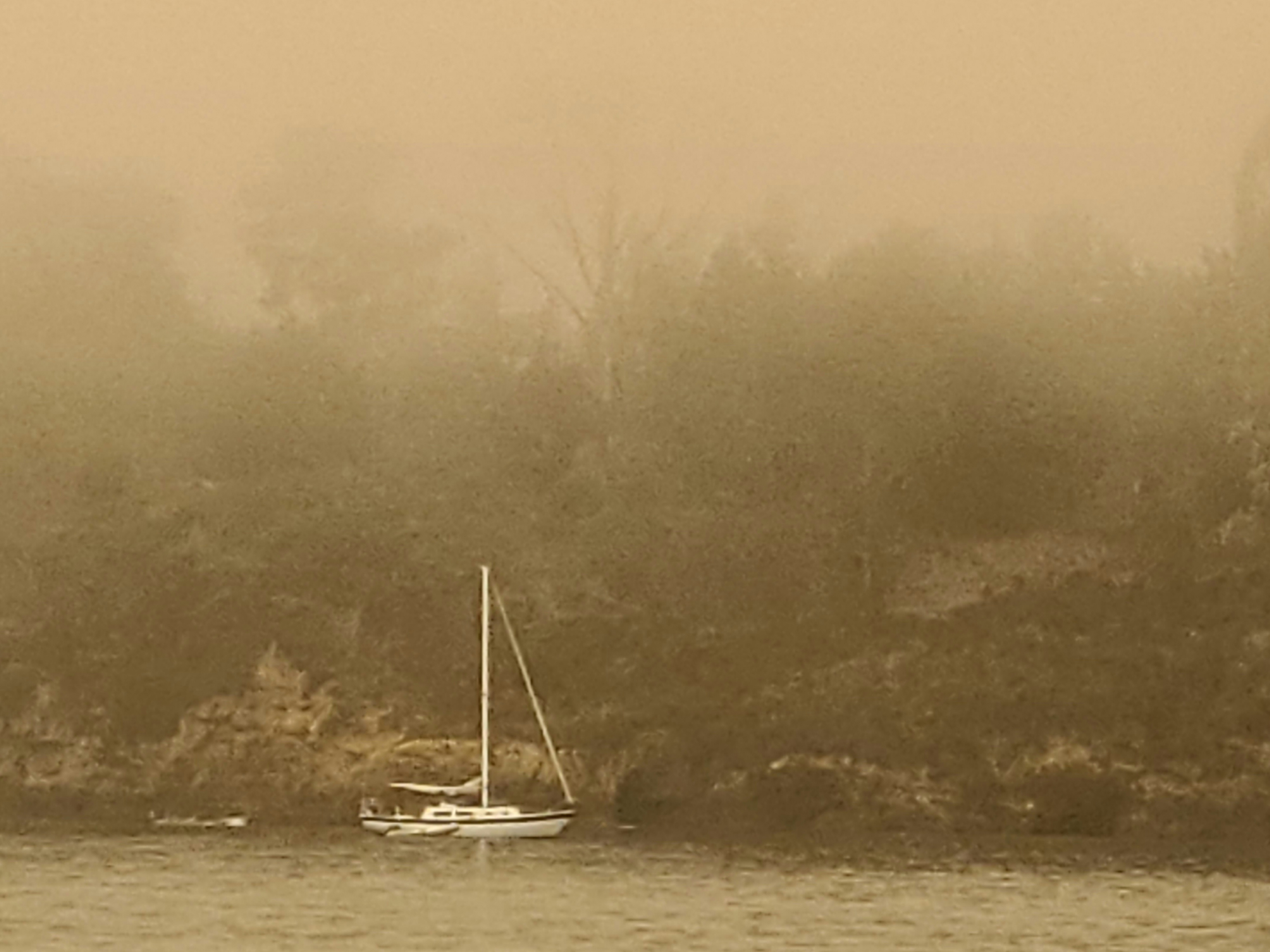 20200910_174858.jpg