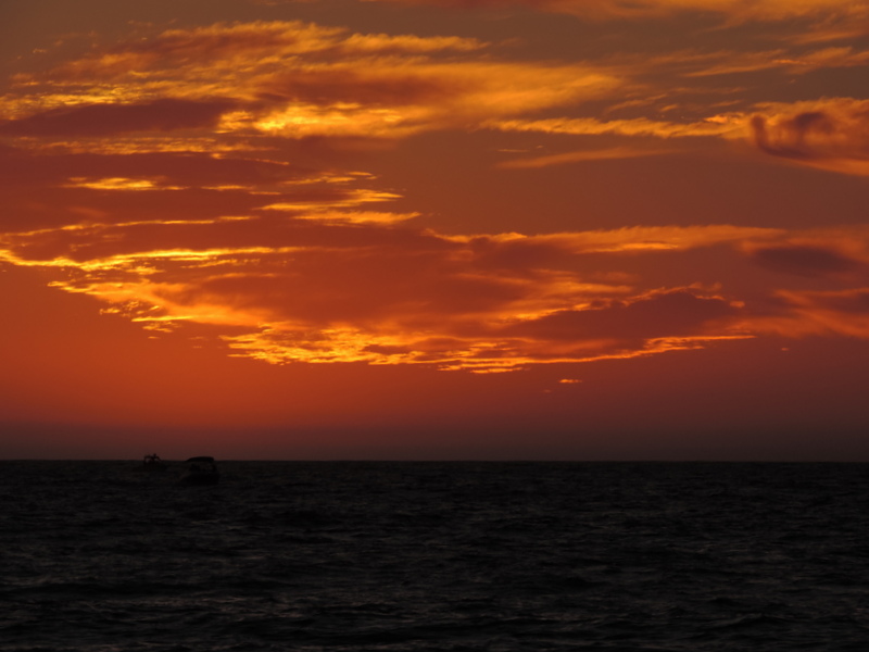1-DSCN4810.JPG