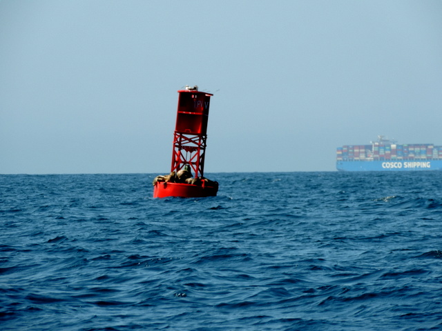 DSCN5130.JPG