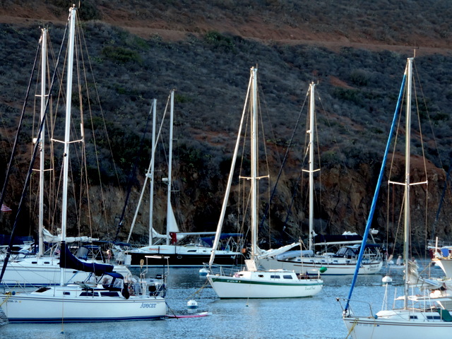 DSCN5173.JPG