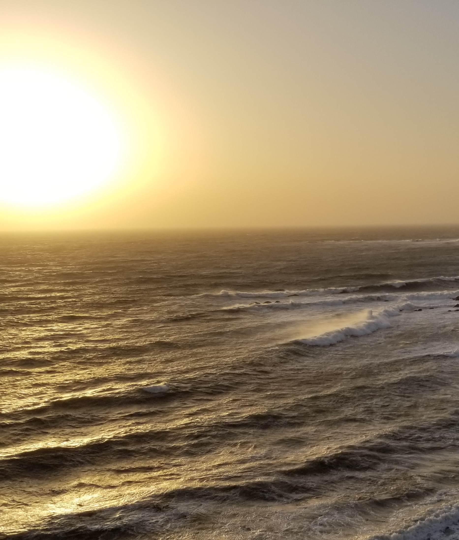 20211015_121913.jpg