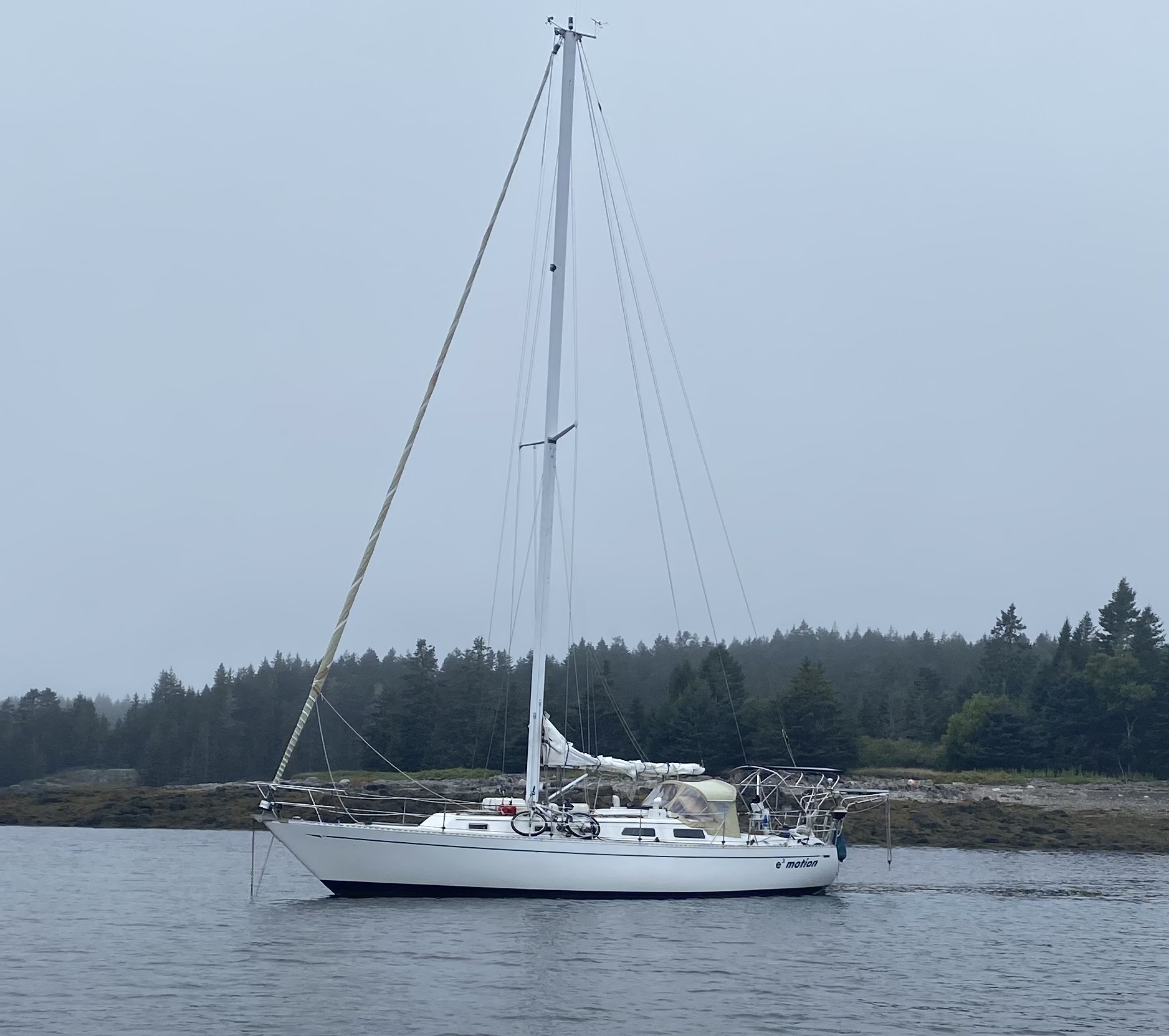 784107E3-6806-4989-B9AE-6672829FD781.jpeg